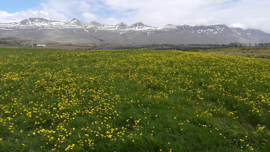 Hotel Stadarborg Breiðdalsvík Екстериор снимка